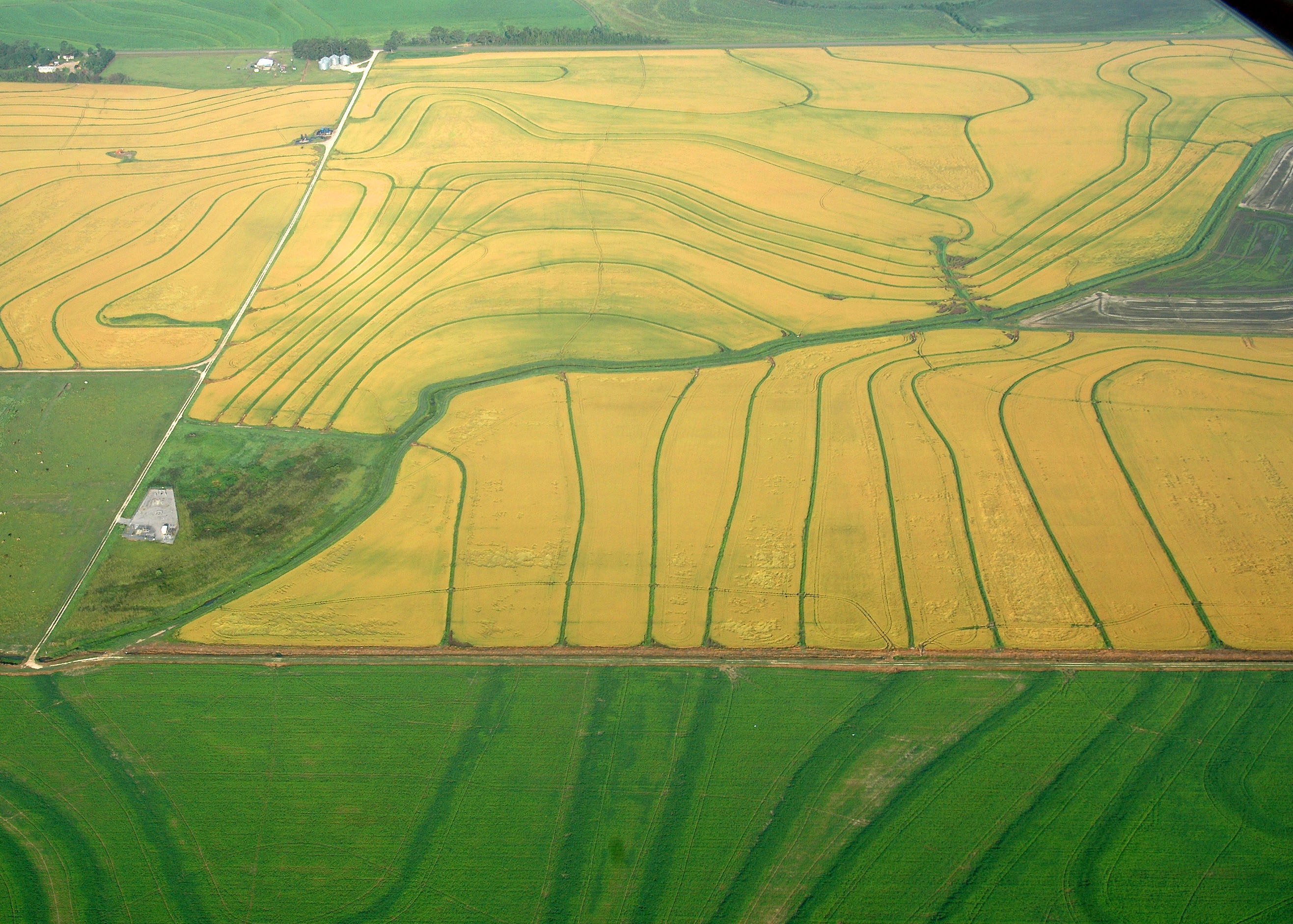 Sustainable Development and Globalization: Natural Resources and Ecosystems